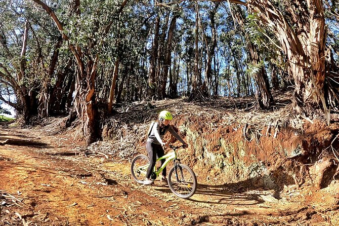 Descend in Mountain Bike in Northern Forests of Gran Canaria - Getting There