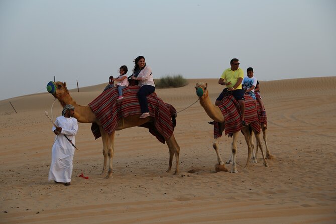 Dubai Evening Desert Safari With Dune Buggy Ride - Pickup and Dropoff Logistics