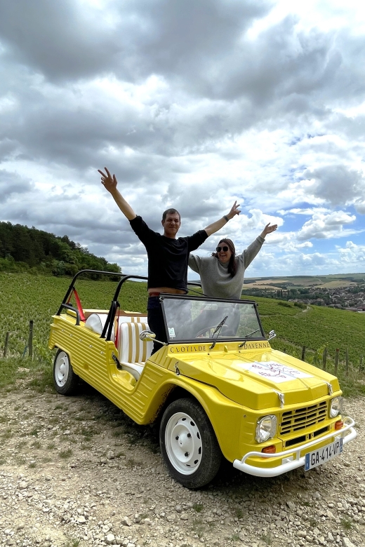 E-Mehari Tour and Tasting Chablis Clotilde Davenne - Pricing and Booking