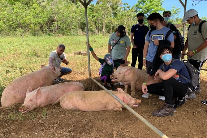 Eco Friendly Farming Tour to Explore Dorados Most Beautiful Farm - Farm Store Offerings