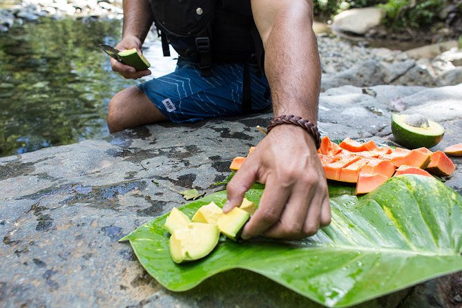 El Yunque Rainforest and Bio Bay Kayaking Combo Tour - Tour Inclusions