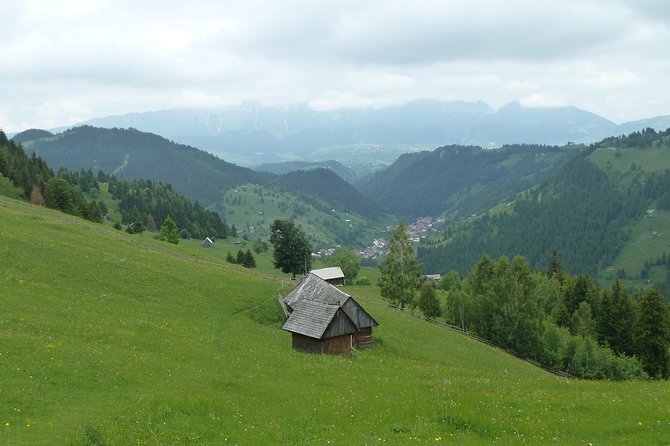 Excursion in Moeciu De Sus (Recommended for Families) With Native Spanish Guide. - Highlights of the Excursion