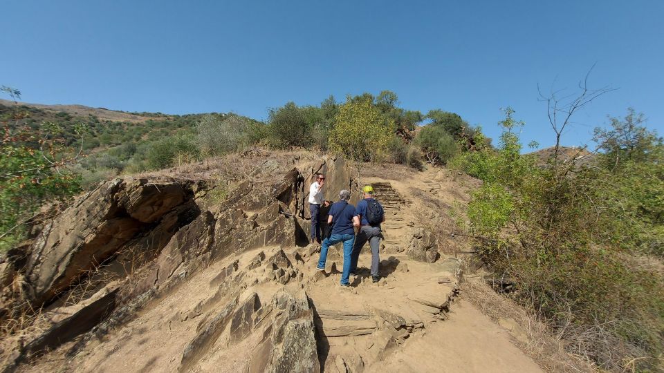 Foz Côa & Douro Private Tour: Rock Carvings and Superb Views - Douro River Boat Tours