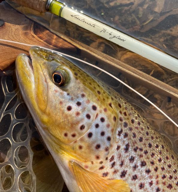 Freestone Guiding: Guided Flyfishing for Wild Brown Trout - What to Expect on the Day