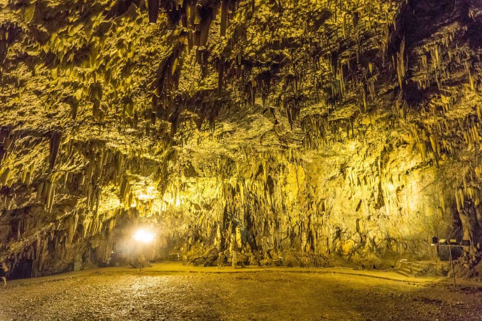 From Argostoli: Kefalonia Shore Excursion Highlights Tour - Exploring Caves and Beaches