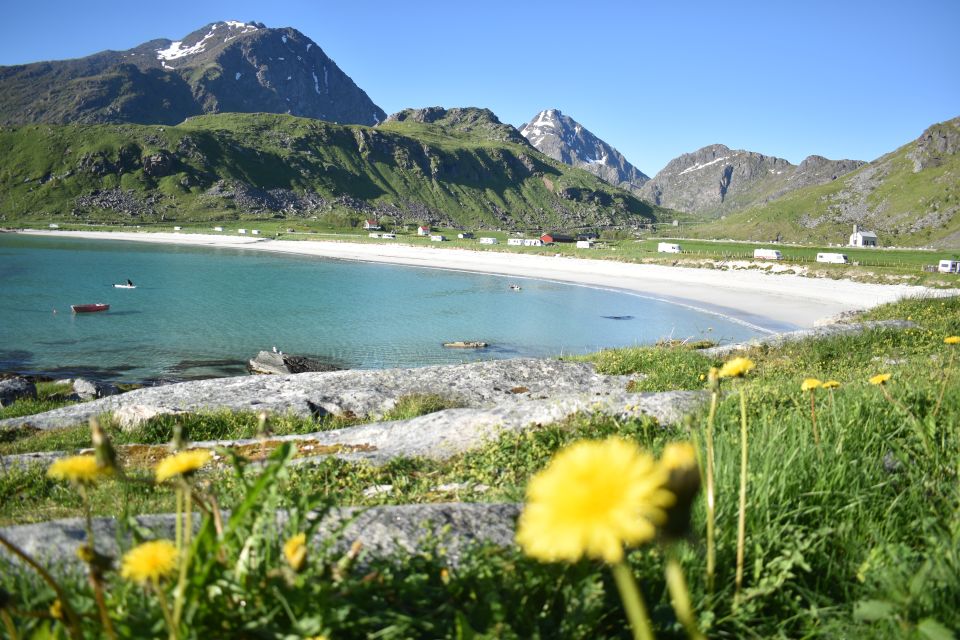 From Leknes: Private Lofoten Islands Tour With Transfer - Reinefjord and Hamnoy Viewpoints