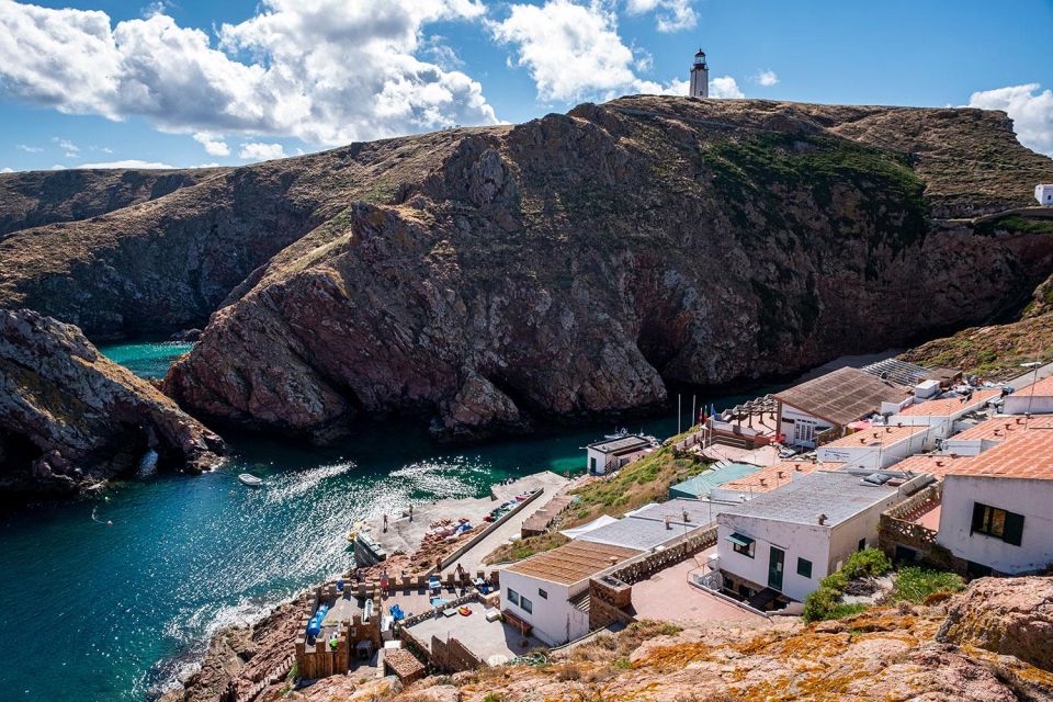 From Lisbon: Berlenga Grande Island Private Tour - Important Considerations