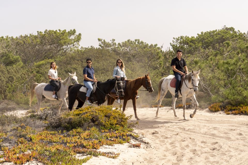 From Lisbon: Comporta and Setúbal Trip With Horseback Riding - Horseback Riding in Comporta