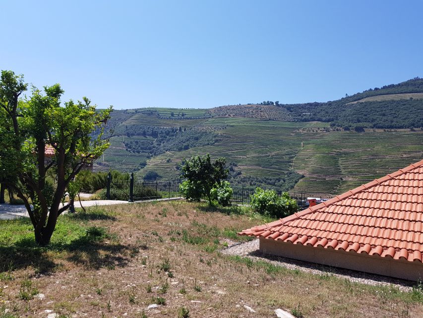 From Porto: Douro Valley 3 Vineyards Tour With Lunch - Vineyards and Tastings