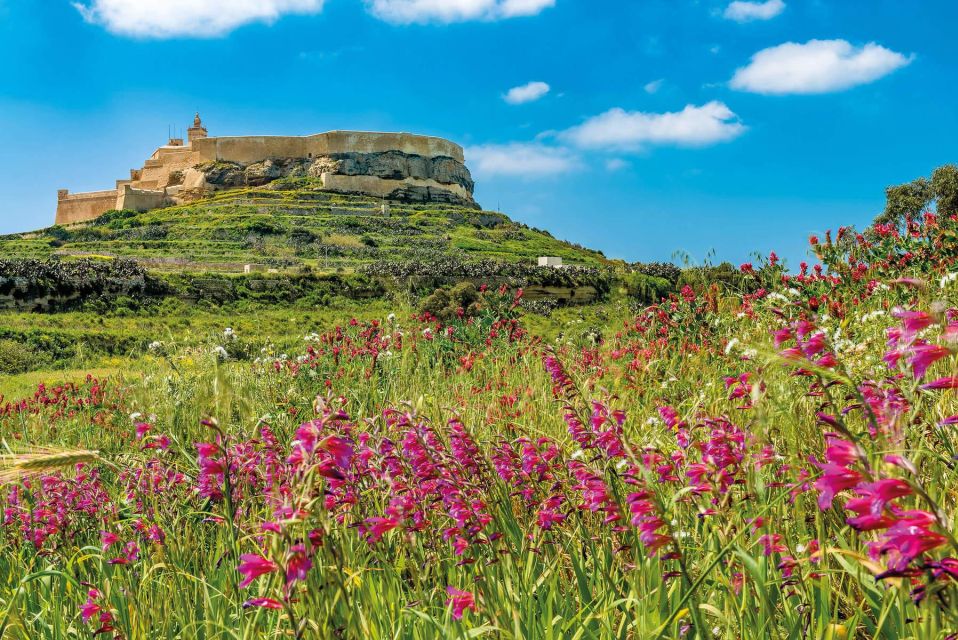 From Sliema: Gozo, Comino & The Blue Lagoon Boat & Bus Tour - Departure and Arrival