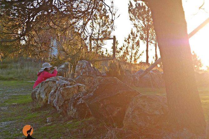 From the Schist Villages of Lousã to the Mills of Penacova - Exploring Schist Villages