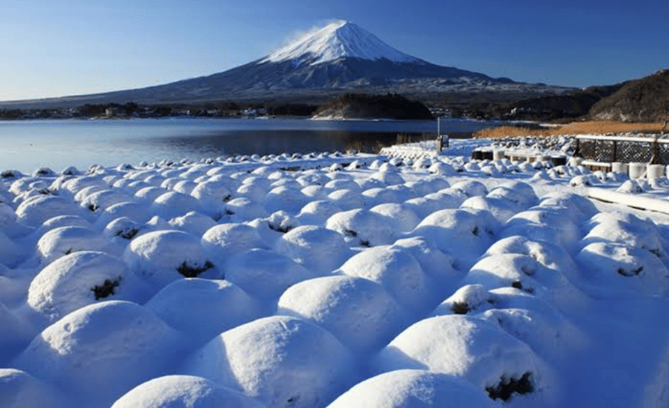 From Tokyo: Mount Fuji Full Day Private Tours English Driver - Contact and Support