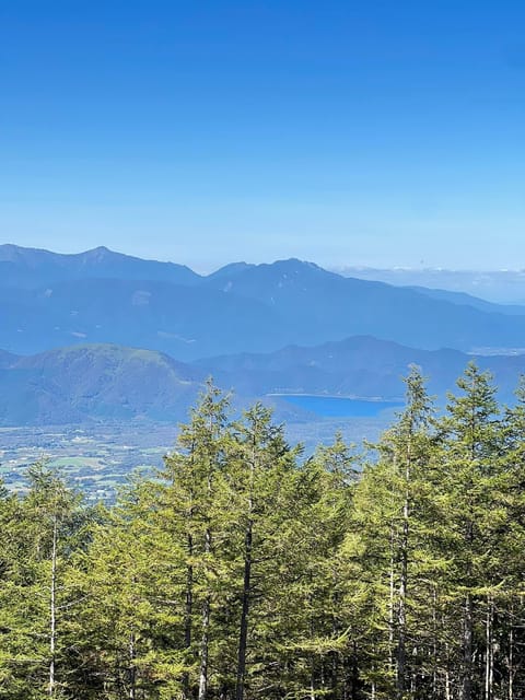 From Tokyo: Mt. Fuji And Hakone Private Sightseeing Day Trip - Customer Reviews and Ratings