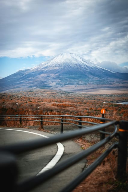 From Tokyo: Mt. Fuji or Hakone Private Sightseeing Day Trip - Traveler Eligibility