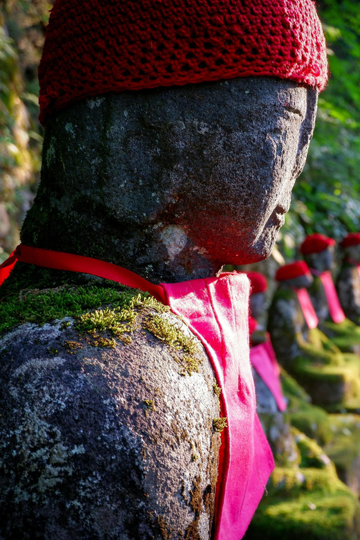 From Tokyo: Nikko Full-Day Private Sightseeing Day Trip - Customizable Experiences