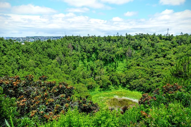 Full-Day Mauritius Volcanic Wonders Tour Including Swimming With Wild Dolphins - 7-Coloured Earth Phenomenon