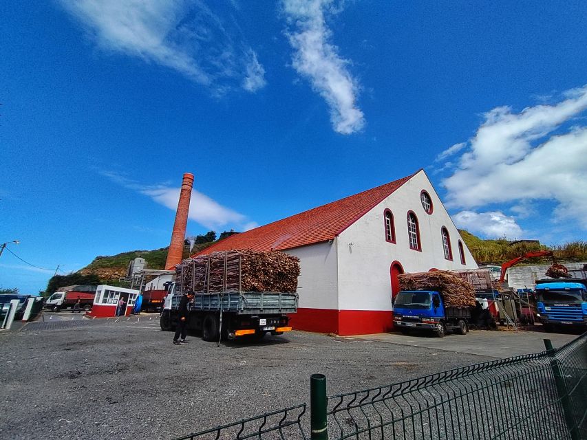 Funchal: East Madeira Island Guided Tour & Laurissilva Walk - Faial