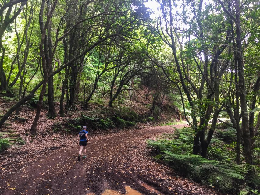 Funchal: Ocean to Mountain Running Tour - Customer Reviews