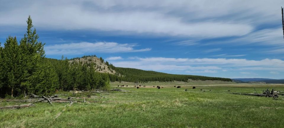 Gardiner: Yellowstone National Park Half Day Guided Hike - Easy Entry to Yellowstone Exploration