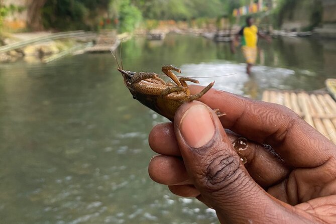 Great River Rafting - Limestone Foot Massage and ATV Rides From Montego Bay - Activity Details