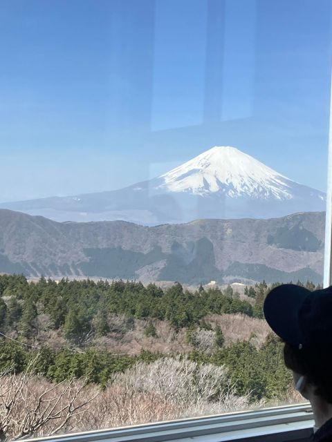 Hakone Day Tour to View Mt Fuji After Feeling Wooden Culture - Exploring Traditional Wooden Culture