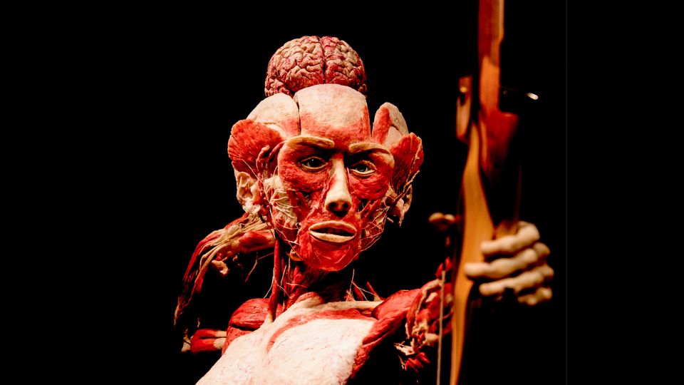 Heidelberg: BODY WORLDS Museum Entrance Ticket - Frequently Asked Questions