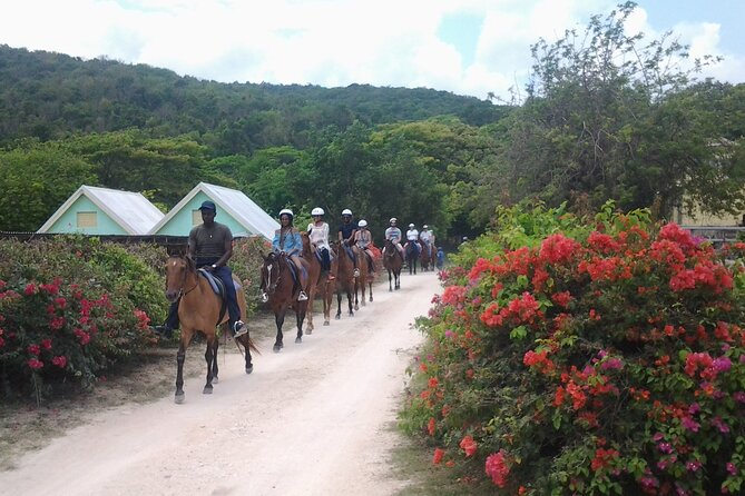 Horseback Riding Dunns River Falls Adventure From Montego Bay - Scenic Countryside Views