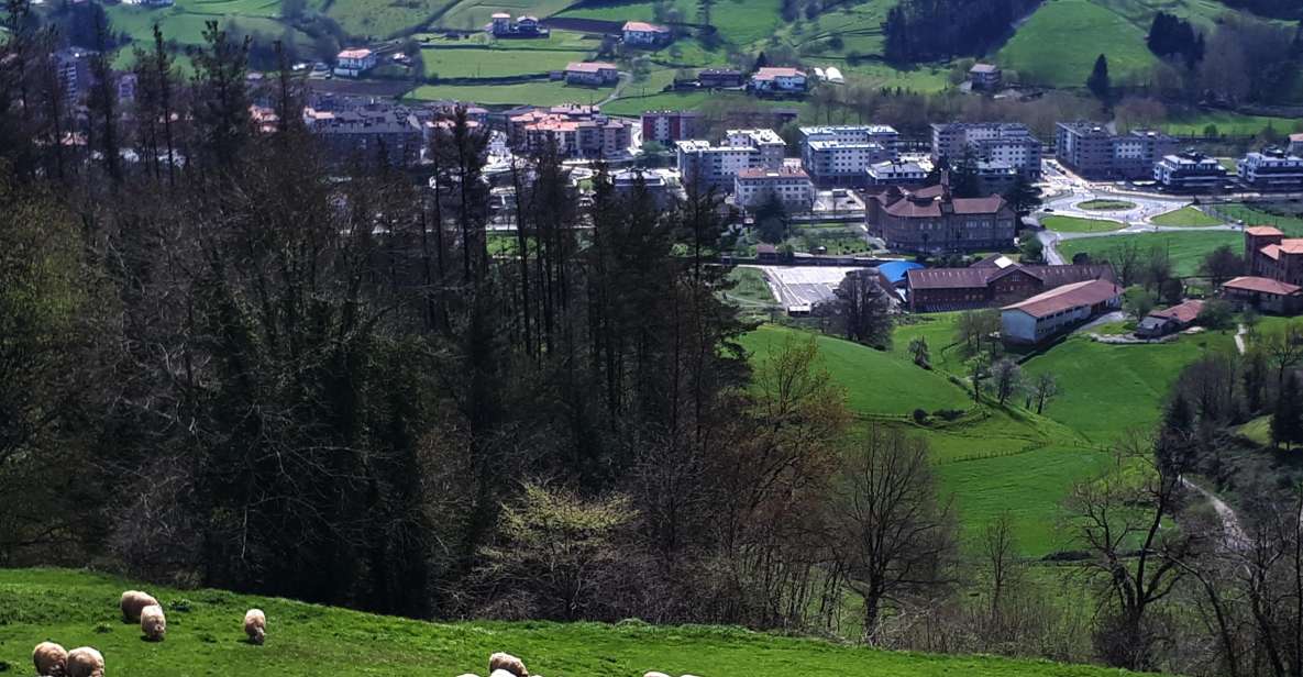 Idiazabal Cheese Tour From San Sebastian - Explore Basque Country Highlands