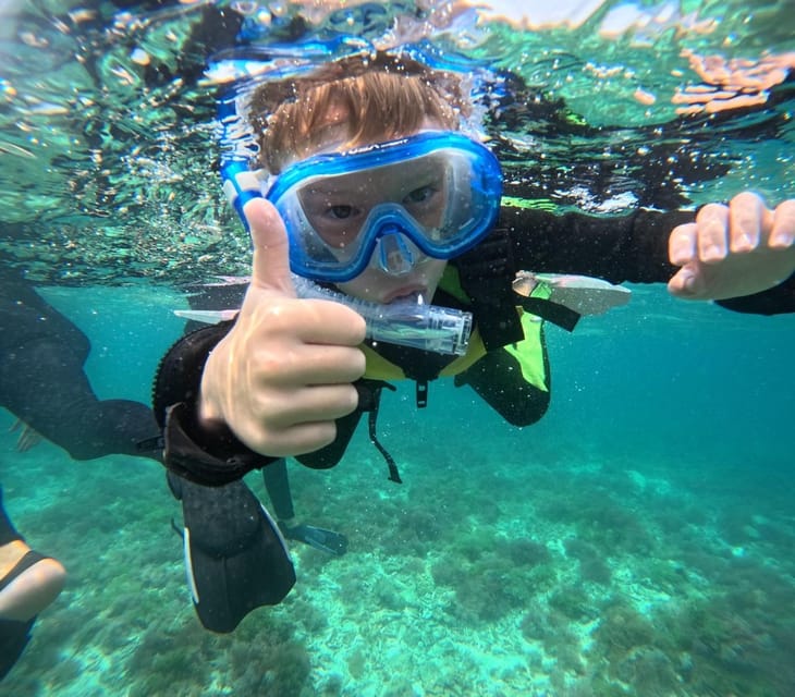 Iriomote: Boat Snorkeling Tour at Barasu Island - Getting to the Meeting Point