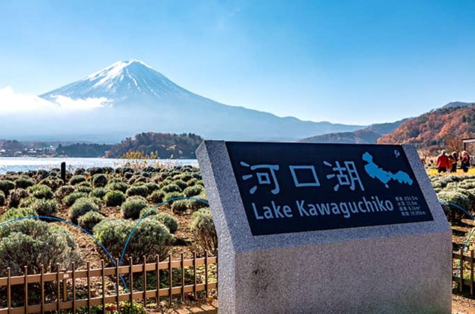 Lake Kawaguchi From Tokyo Express Bus Oneway/Roundway - Customer Feedback