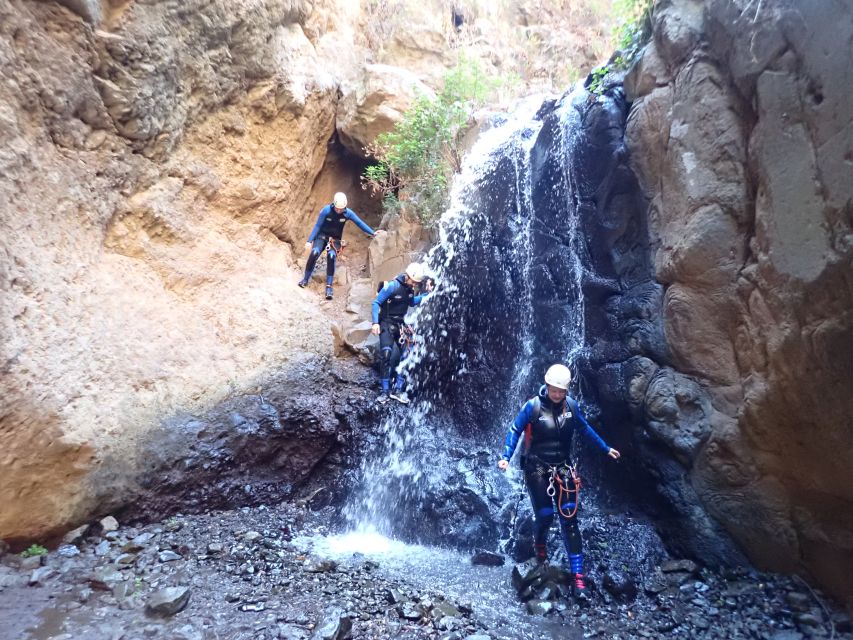 Las Palmas, Gran Canaria: Canyoning Adventure - Customer Feedback