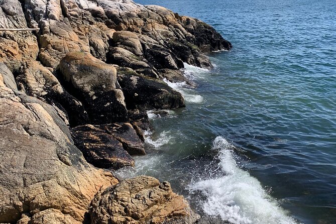 Lighthouse Park Hike - Trip Highlights