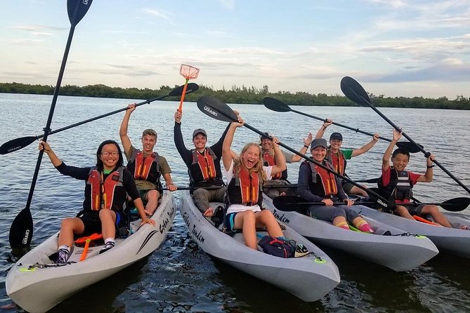 Mangrove Tunnels, Dolphins, Manatee Tour #1 Rated in Cocoa Beach - Practical Suggestions From Customers