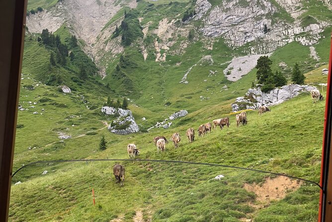 Mt. Pilatus With Lake of Lucerne Cruise Private Tour From Lucerne - Cogwheel Train and Cable Car