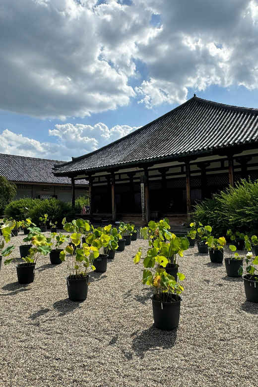 Nara: Explore Gangoji Temple and Naramachi in 90 Minutes - Meeting Point and Duration