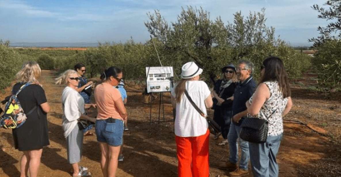 Olive Oil Factory From Sevilla Private Tour - Frequently Asked Questions