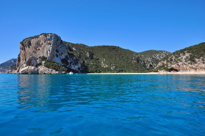 One Day Tour in Rubber Dinghy in the Gulf of Orosei With Skipper - Included in the Tour