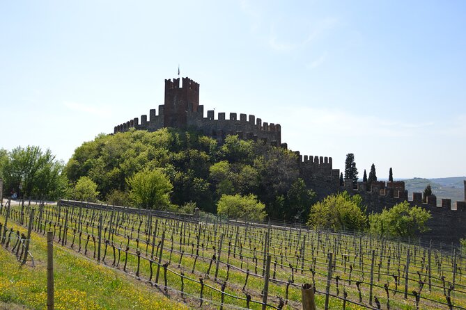 Pagus Wine Tours® - Soave and Amarone - Half Day Wine Tour - Tasting Amarone and Ripasso