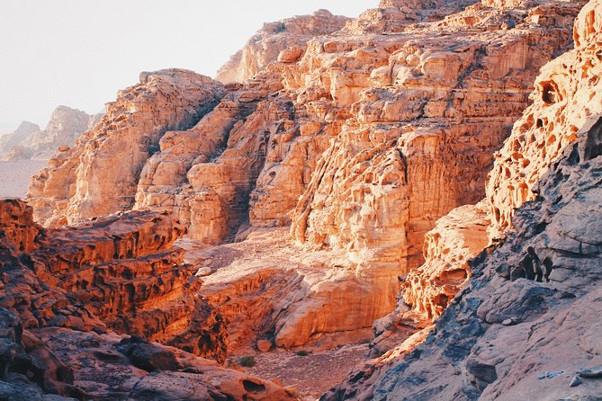 Petra & Wadi Rum Day Trip With Hotel Pickup - Tour Operator and Pricing