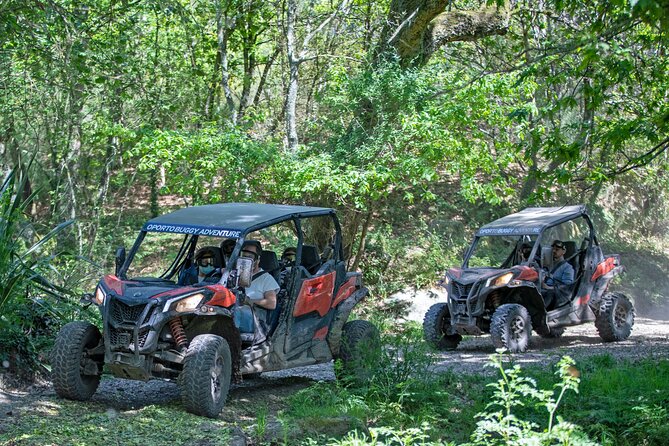 Portugal Extreme Tour By Oporto Buggy - Pricing and Bookings