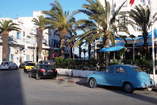 Private Day Tour: Medina of Tunis, Carthage, Sidi Bousaid With Lunch - Price and Booking