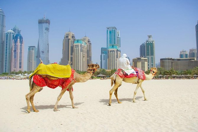 Private Half Day Modern Dubai City Tour With Lunch - About Navita Tours