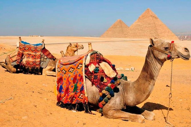 Private Tour Giza Pyramids Inside, Sphinx, Memphis & Saqqara - Enjoy a Camel Ride Experience