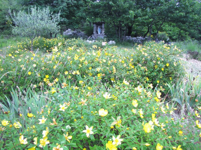 Provençal Countryside, Medieval Village & Lake Private Tour - Perfume Factory and Grasse