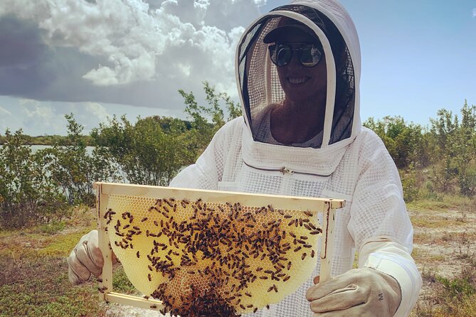 Reagan's Honey Beekeeping Adventure - Importance of Bees