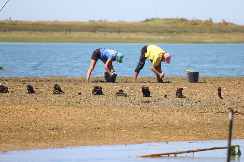 Ria Formosa: Sightseeing Boat Tour From Olhão - Directions