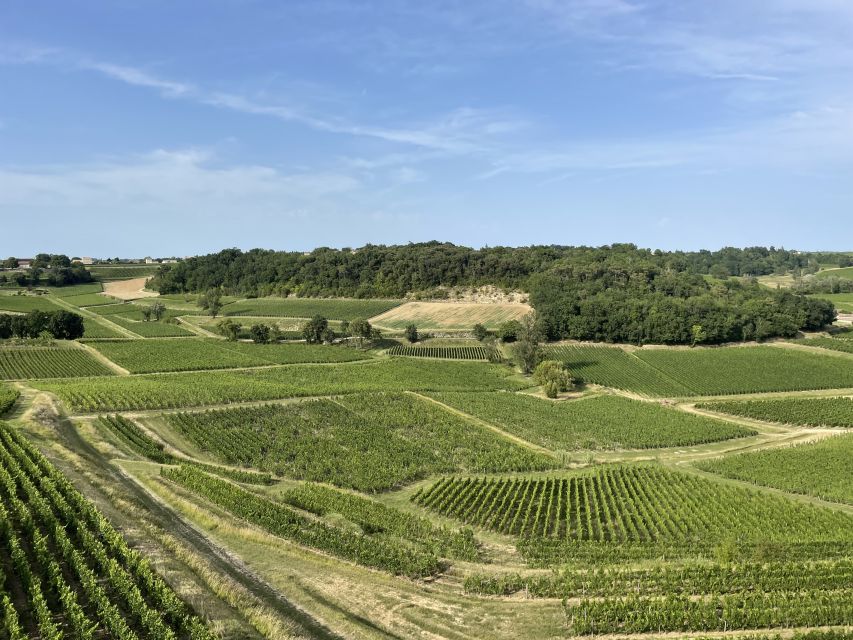 Saint-Emilion : Half-Day Wine-Tour Into Classified Estates - Pickup and Drop-off