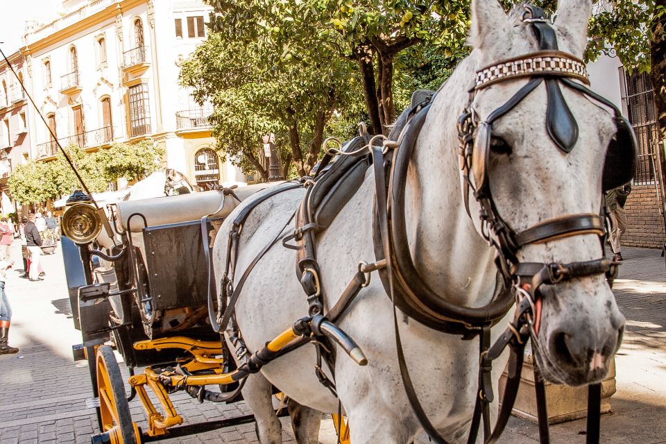 Seville: Authentic and Romantic Horse-Drawn Carriage Ride - Driver Commentary