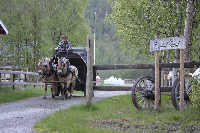 Sleigh Ride W/ Snacks - Experience Arctic Farm Life - Meeting the Friendly Farm Family