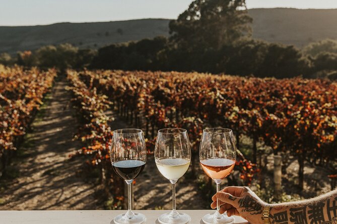 Small Group: Ultimate Napa & Sonoma Wine Tour From San Francisco - Napa Valley Wine Tasting